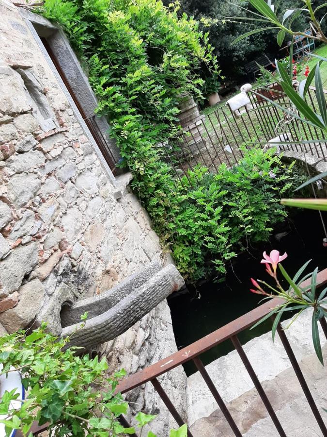 Agriturismo Frantoio Valiani Cortona Esterno foto